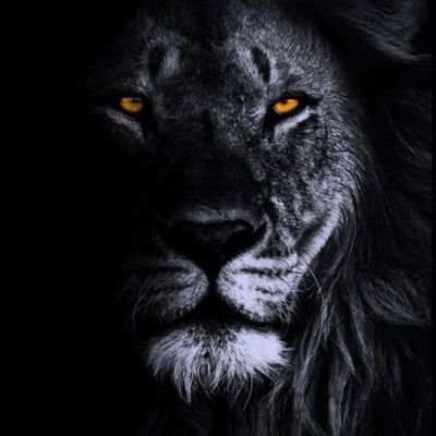 feferaguirre's profile picture. Boca Juniors :)    Play Station 4  Football