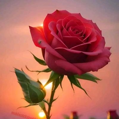 KRerves95090's profile picture. Actor, Passionate about spreading, kindness And possibility, in lifting other's And making the world a better place