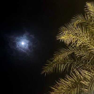 شخصية وارثة من الوالد والوالدة شخصية لا مثيل لها | a girl who just love moon and stars and she really is