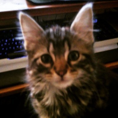 https://t.co/dEKPxgKUwg
Now working for Brain Box Tech