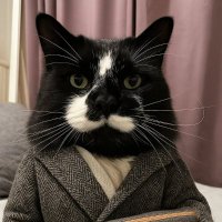Sarah Evans (@sarahjevsevans) 's Twitter Profile Photo Sarah Evans (@sarahjevsevans) 's Twitter Profile Photo