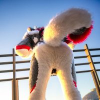 Braptacular Buck (@bleatsnbraps) 's Twitter Profile Photo