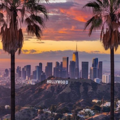 ayoub0431's profile picture. Tlse 31