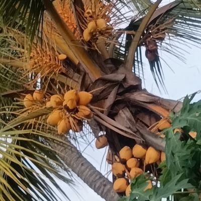 YesidFl18095678's profile picture. 