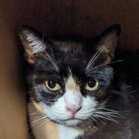 Jack Rodriguez (@jackelb0i4776) 's Twitter Profile