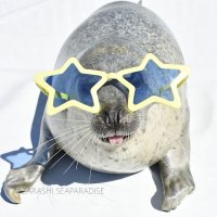 Dogg07 #1 moon enjoyer (@dogg0707) 's Twitter Profile