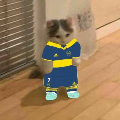 joaco4_obregon's profile picture. La vida es una shit