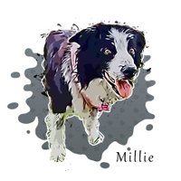 MillieπΎπDπ#oneforallandallformillie πΎπ (@millieotlfp) 's Twitter Profile Photo MillieπΎπDπ#oneforallandallformillie πΎπ (@millieotlfp) 's Twitter Profile Photo