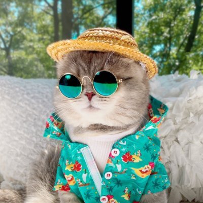 Fuly101's profile picture. 