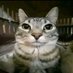 Gatuno.H (@gabriel53934032) Twitter profile photo Gatuno.H (@gabriel53934032) Twitter profile photo