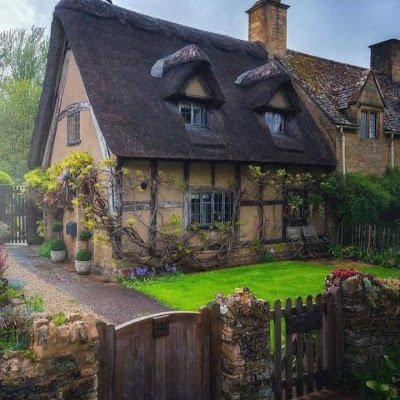 mu6582567's profile picture. 