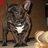 ham968's profile image