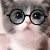 that cat with glasses (@innocentnerdcat) Twitter profile photo that cat with glasses (@innocentnerdcat) Twitter profile photo