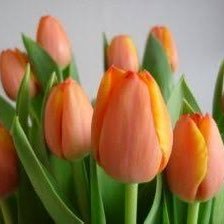 kcy_298's profile picture. 