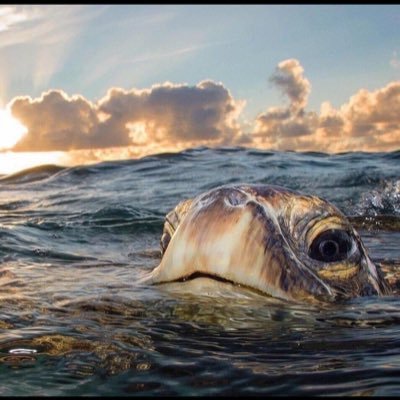 kgs2012's profile picture. 