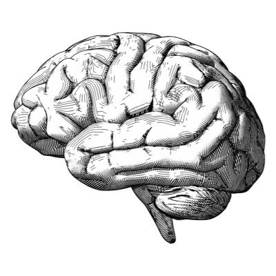 infocusfirst's profile picture. Personalized. Simplified.  Accessible.  Skip the Commute.  Keep your Pajamas.  Same Week Treatment.  Anxiety, Depression, ADHD, OCD &  More!