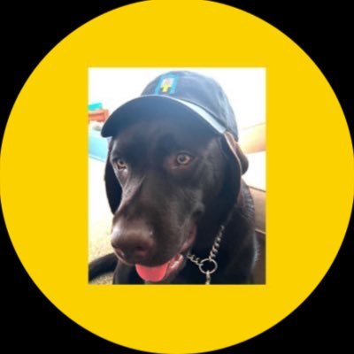 https://t.co/bWTFoxTBiI macro & beta @2Graybeards for beta. Both for investor education, Brevan Howard, Bridgewater, Salomon, Dad of 4. Go Penn, No tweet is advice