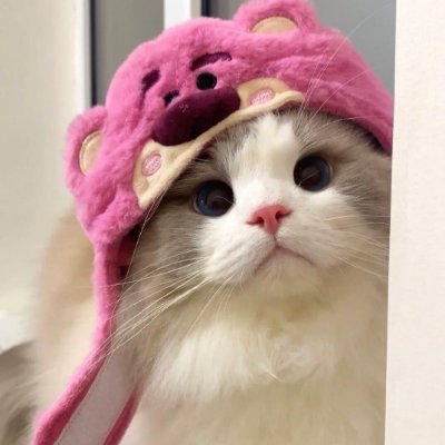 Jacqualine91120's profile picture. tgrfhivxcrg