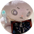 coyujam