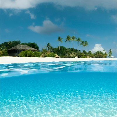 Infinite_Pro72's profile picture. 