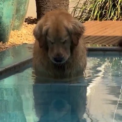 luanbastos470's profile picture. Provérbios 18:6