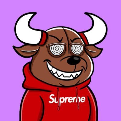 BullBears Profile