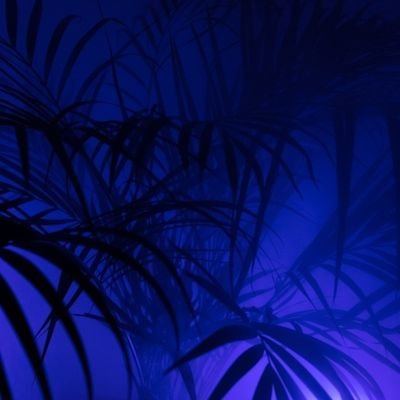 hasyul333's profile picture. 잡덕 비계