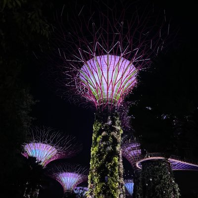 Jayjay20740's profile picture. 