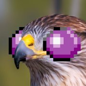 21 - he/him
learnin' german, kaizo/rando player
follow me on bluesky