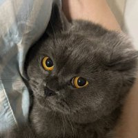 dia (@dianamadim) 's Twitter Profile Photo dia (@dianamadim) 's Twitter Profile Photo