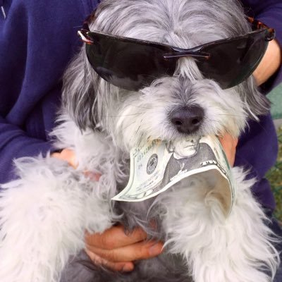 Yourhoonigan's profile picture. I eat food, sleep, and play snuggle with benefits.😉