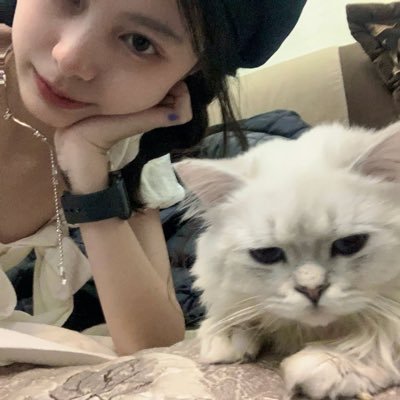 1moduotvt's profile picture. 