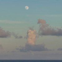 Tabbyhold123 (@tabeverett) 's Twitter Profile