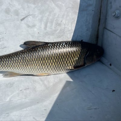 or_dave3's profile picture. Making sense of a crazy world