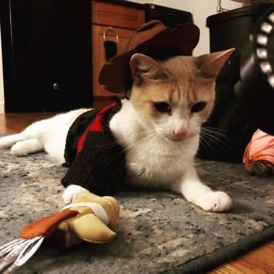 RollingRiffs's profile picture. i identify as a music lover