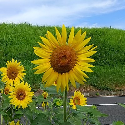 ttjapan5's profile picture. 学習用アカウントです。
ソフトウェアエンジニア。Python、Docker、Github Actions。GIS。認定Scrum Master（RSM）、AWS認定 Solutions Architect - Associate