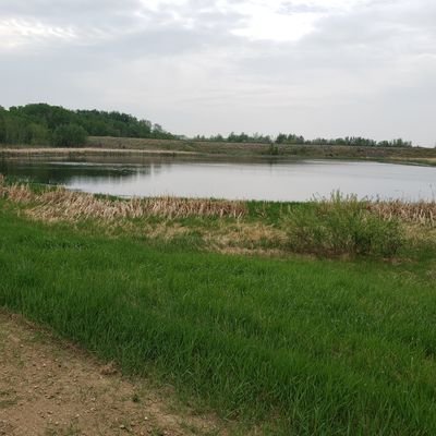 yazref3or's profile picture. 