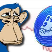 bnmbnmbn23940's profile picture. 