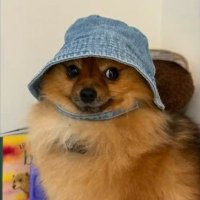 middle-aged powerviolence listener (@emo_skramz) 's Twitter Profile