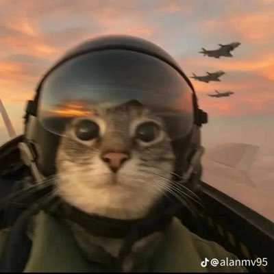 futuresak's profile picture. $NQ
