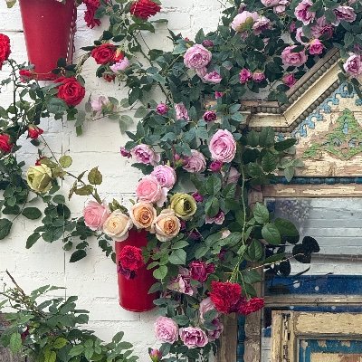 GQ02085838's profile picture. I come to Twitter for porn, rejecting gay content starts with me.