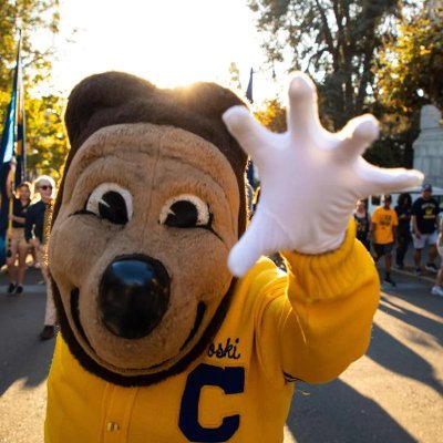 Just a guy who loves the Cal Bears and Ebay Doomscrolling