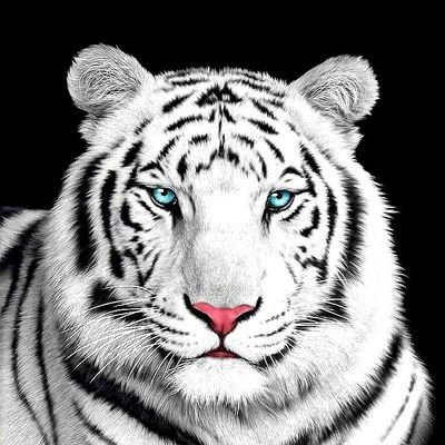 charlyferre90's profile picture. Contenido explícito solo para mayores de 18 años 🔞