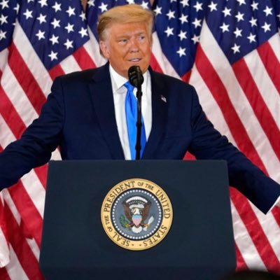 🇺🇸TRUMP/VANCE 2024!! AMERICA FIRST!!🇺🇸 Stand for the flag! Constitutional Conservative