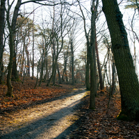 OtaReno14494's profile picture. ヴィーガン生活中中です。内向的、効率重視、慎重な私はカフェ巡り、散歩、パン作りに情熱を注いでいます。