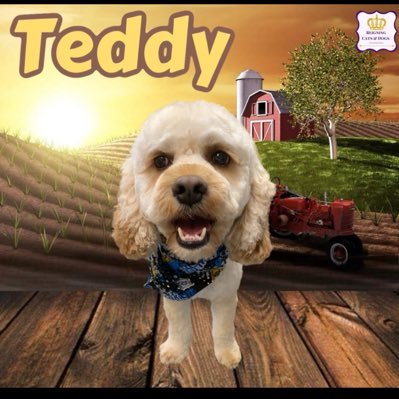 Love country music, my new dog, my country & family, #Trump, #BackTheBlue, #ResistResisters, #Walkaway #NewlyRegisteredRep Blocked by Steve Martin