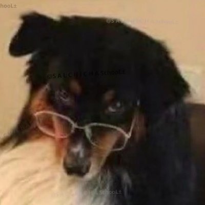 Willtown_Rouh85's profile picture. Occasional typist. 
Más chulo que un ocho.