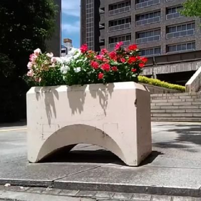 ma_1_pa's profile picture. 兵庫県問題、しばき隊（特に参政党プロテスト）問題に関する発信をしています。
斎藤元彦辞任要求youtube始めました。政治思想の違いから起きている紛争の解決の為、参政党と共産党社民党は党首討論を！
サブ垢 @A777Mtjwd33332