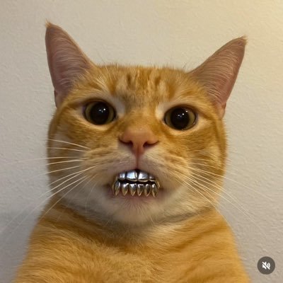 DIGITAL CREATOR.!