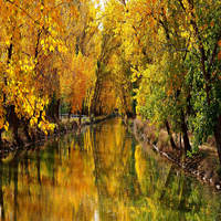 MaoHarada314386's profile picture. テニス、囲碁が大好きなアクティブ人間です。新しいスキル習得に励んでいる、充実した日々を過ごしています。